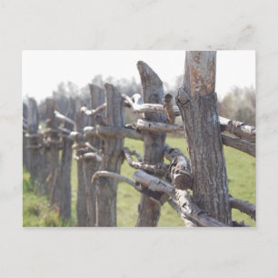 Fenced In Postcard
