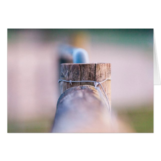 Fenceline detail (Front Horizontal)