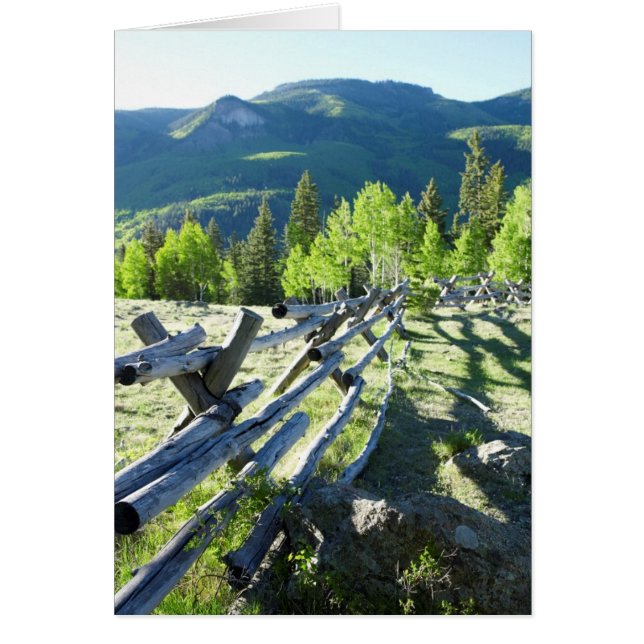 Fenceline en bois (Devant)
