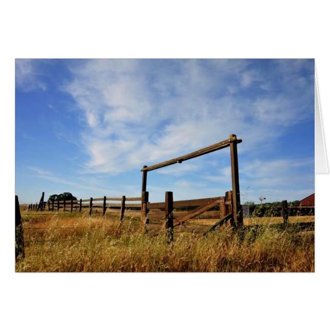 Fences in Field (Front Horizontal)