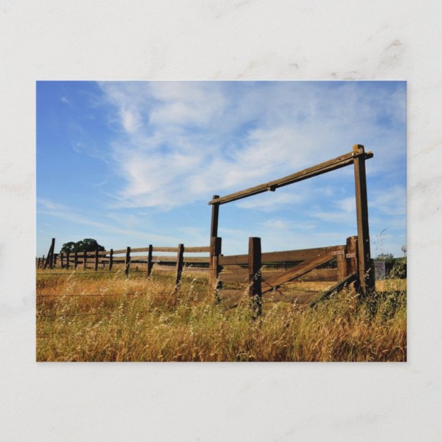 Fences in Field Postcard (Front)