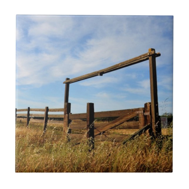 Fences in Field Tile (Front)