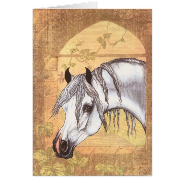 Fenêtre Arabe (Devant)