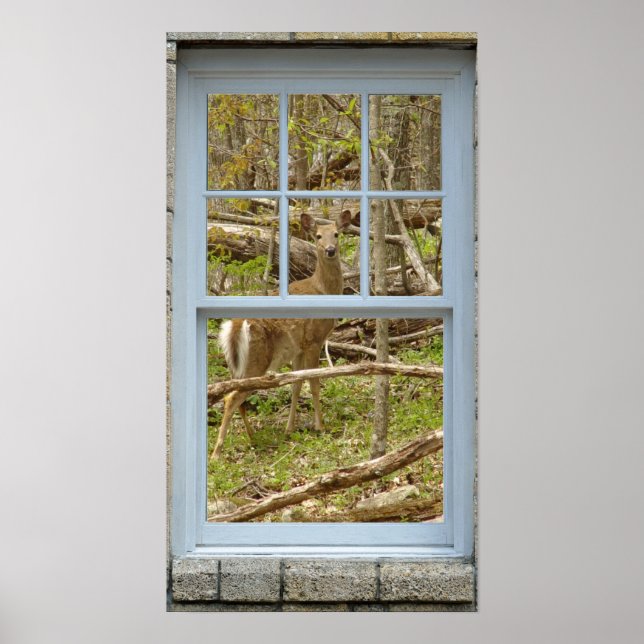 Fenêtre regardant Deer Doe Poster (Devant)