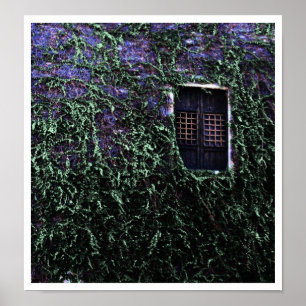 Fenêtre violette ~ Poster / Imprimer