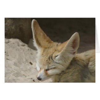 Fennec Fox Card