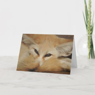 Fennec Fox Greeting Card