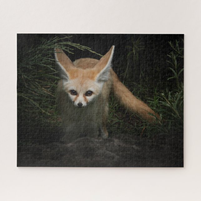 Fennec Fox  Jigsaw Puzzle (Horizontal)
