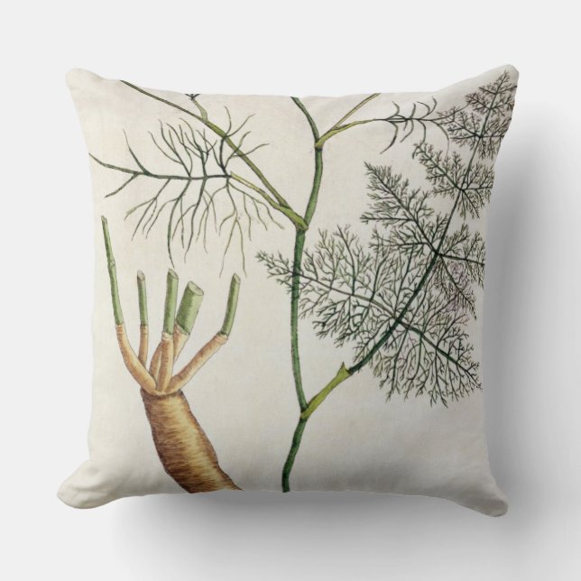 Fennel, plate 288 from 'A Curious Herbal', publish Throw Pillow (Front)