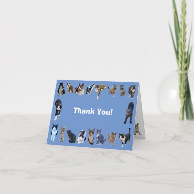 Feral Cat Folded Thank You Card (Front)