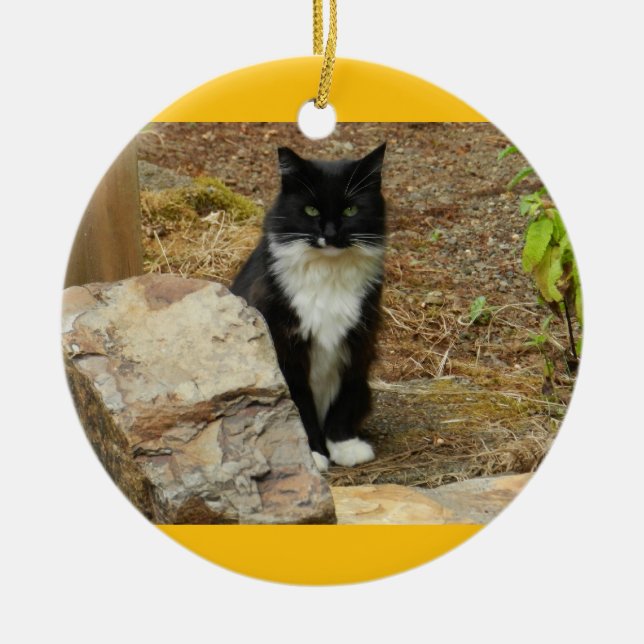 Feral Cat Momma Ceramic Ornament (Front)