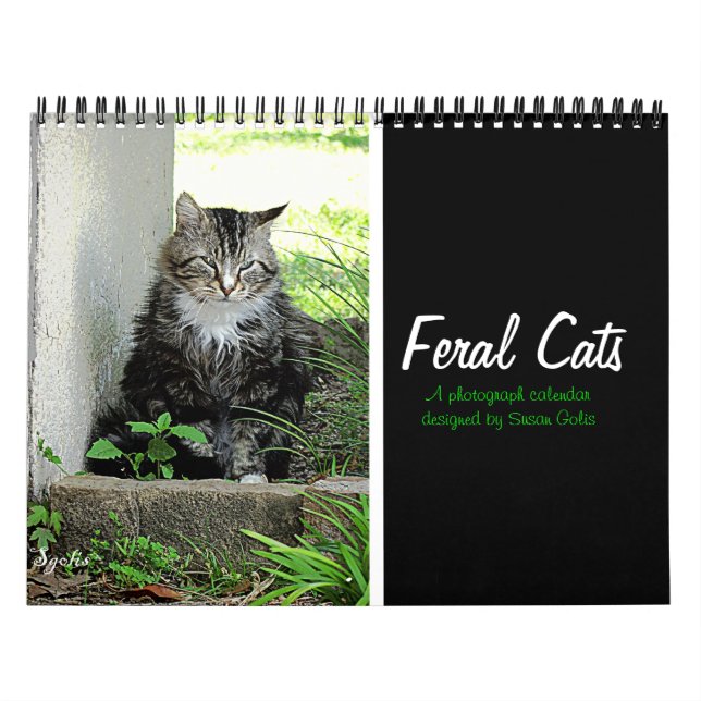 Feral Cat Photograph Calendar (Cover)