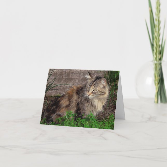 Feral Cat Portrait Note Card (Front)