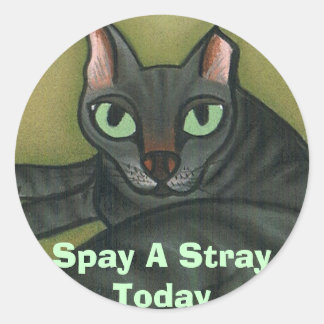 Feral cat, Spay A Stray Today - Customized Classic Round Sticker