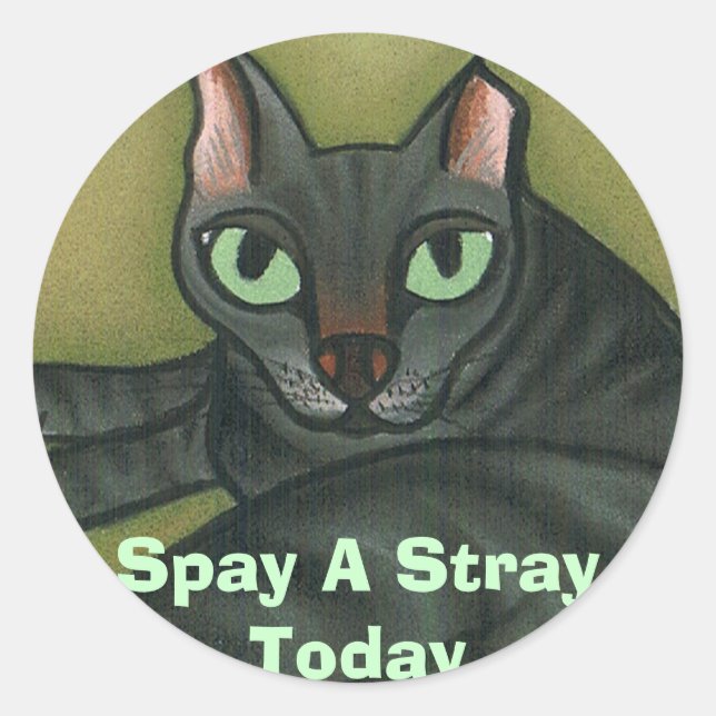 Feral cat, Spay A Stray Today - Customized Classic Round Sticker (Front)