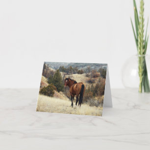 Feral Horse, Theodore Roosevelt National Park, ND Card