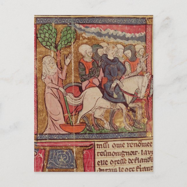 Ferdinand of Portugal  Count of Flanders Postcard (Front)