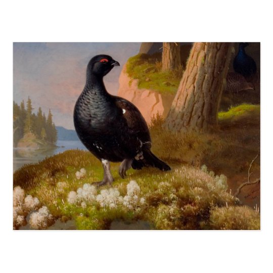 Ferdinand von Wright Black grouses CC0065 Postcard