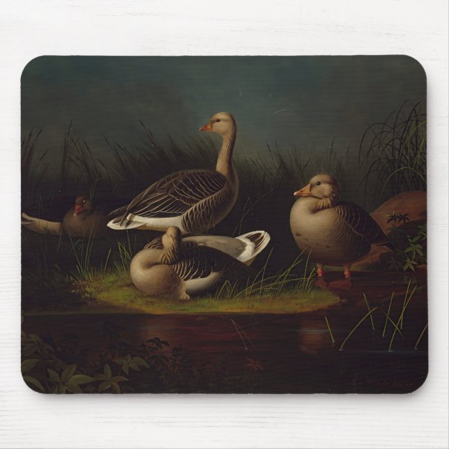 Ferdinand von Wright - Greylag Geese Mouse Pad (Front)