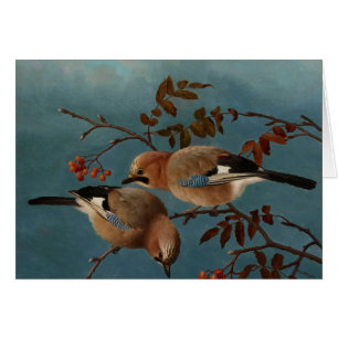 Ferdinand von Wright - Jays