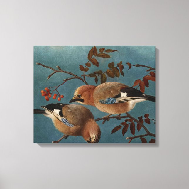Ferdinand von Wright - Jays Canvas Print (Front)