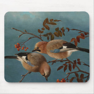 Ferdinand von Wright - Jays Mouse Pad