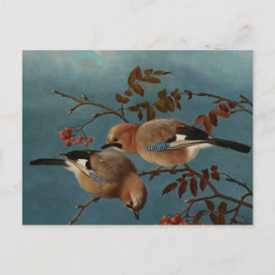 Ferdinand von Wright - Jays Postcard