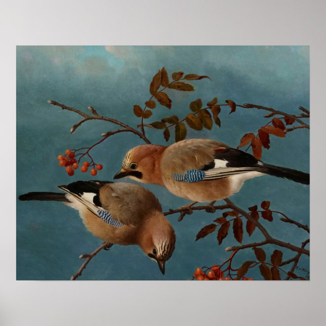 Ferdinand von Wright - Jays Poster (Front)