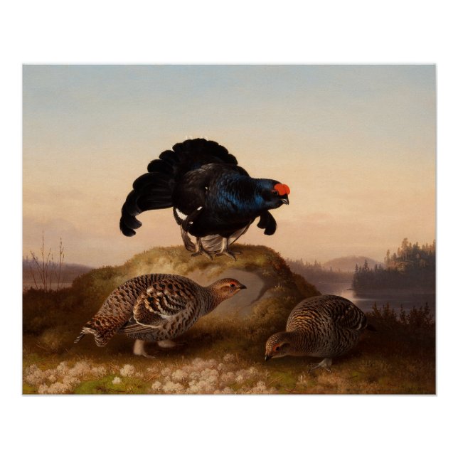 Ferdinand von Wright Orrar Black grouses 1870 Poster (Front)