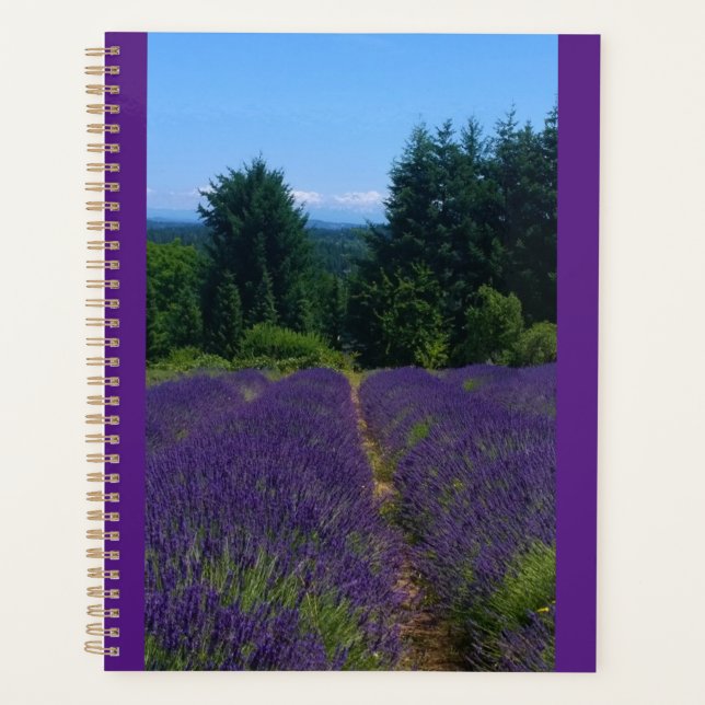 Ferme de Lavender (Devant)