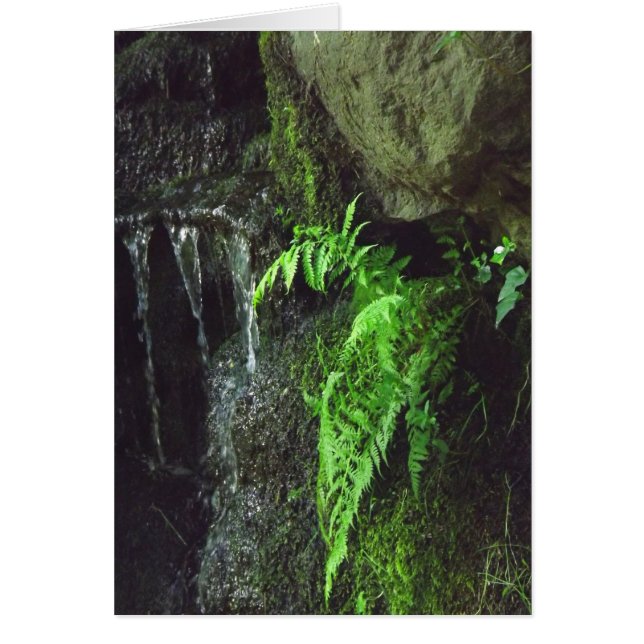 Ferme de printemps (Devant)