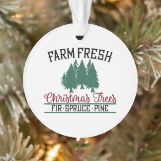 Ferme Des Arbres De Noël Fraîches Pin D'Épinette