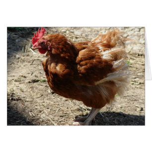 Ferme d'usine Hen