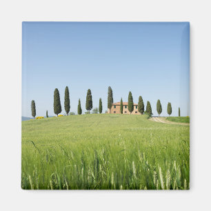 Ferme en Toscane avec aimant cyprès
