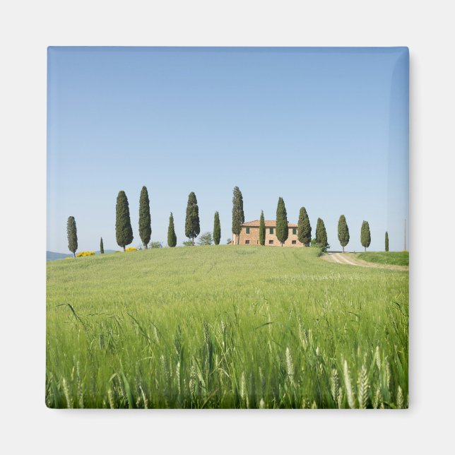Ferme en Toscane avec aimant cyprès (Devant)
