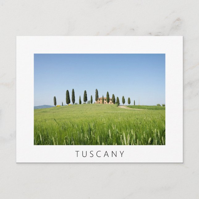 Ferme en Toscane avec cyprès carte postale blanche (Devant)