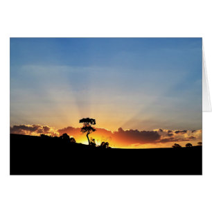 Ferme Londrina de coucher du soleil