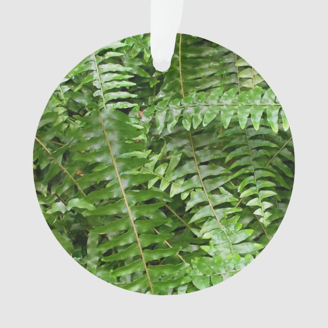 Fermer Fronds I Green Nature (devant)