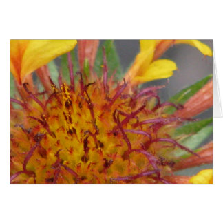 Fermer la fleur
