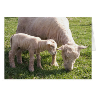 Fermer la sticulation