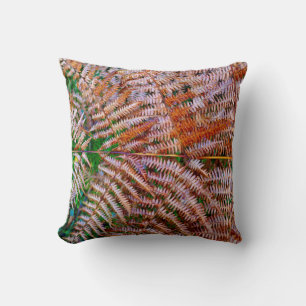 Fermes de boisLancer le coussin