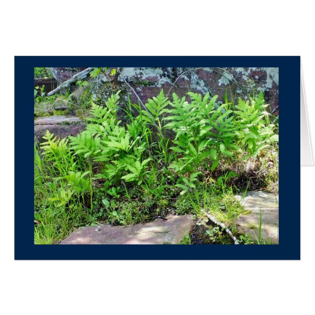 Fermes sur une formation de roche dans la carte bl (Devant horizontal)