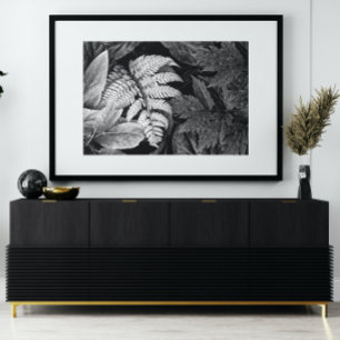 Fern and Foliage Black and White Photo Print