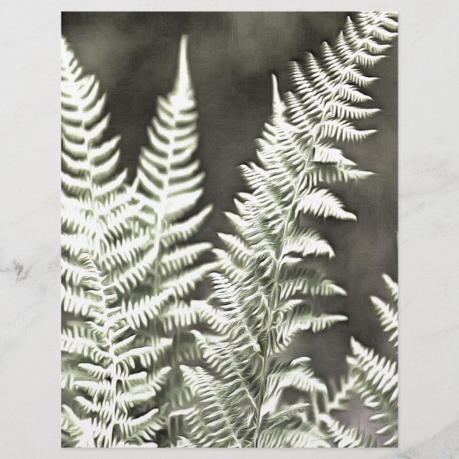 Fern Artistic Abstract (Front)