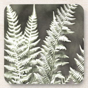 Fern Artistic Abstract Coaster