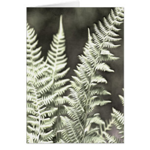 Fern Artistic Abstrait