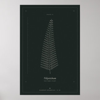 Fern Botanical Line Drawing Poster, Dark Academia  Poster