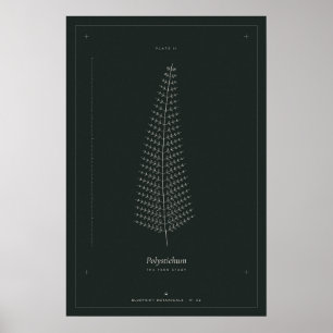 Fern Botanical Line Drawing Poster, Dark Academia  Poster