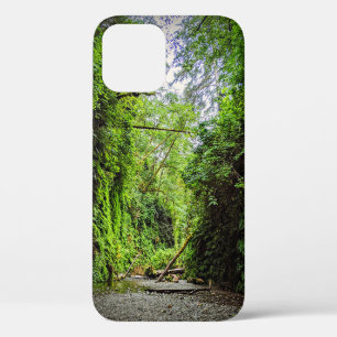 Fern Canyon Green Walls in Redwoods National Park iPhone 12 Case