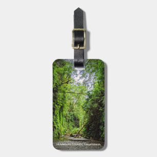 Fern Canyon Green Walls in Redwoods National Park Luggage Tag